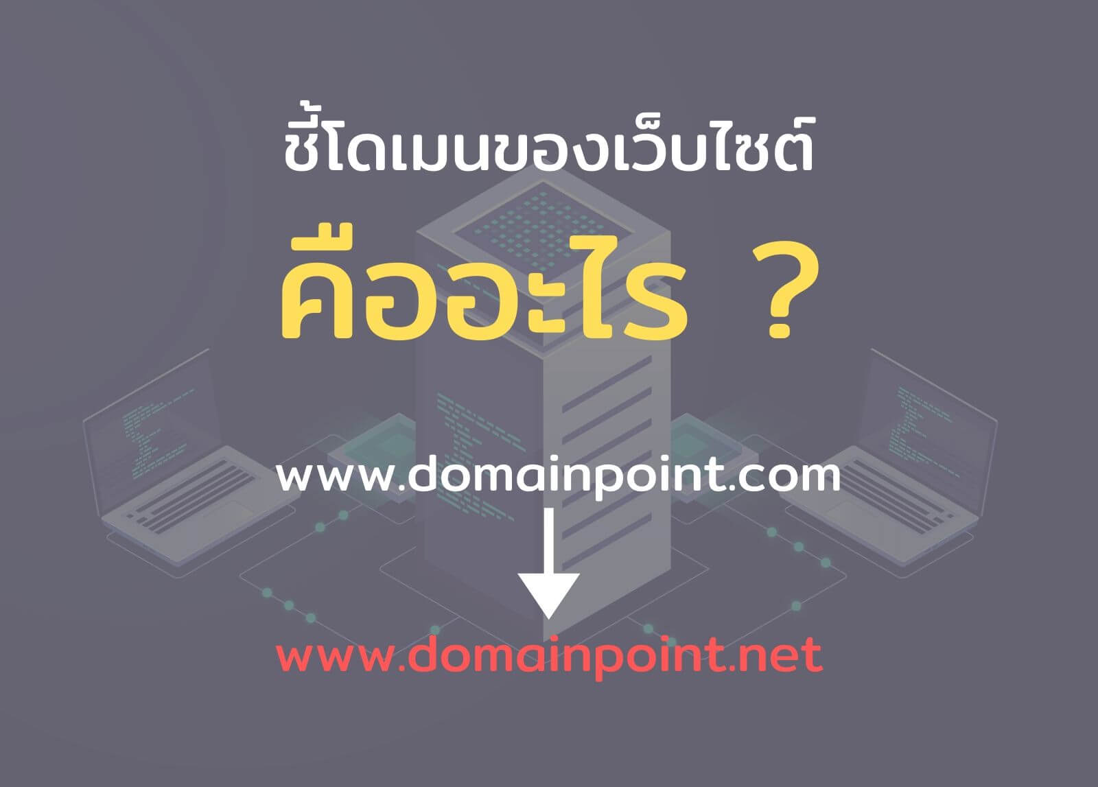 ชี้โดเมนของเว็บไซต์คืออะไร
